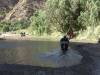 auf dem Weg nach Tupiza müssen wir immer wieder den Fluss durchqueren