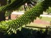 dsc00453-1024