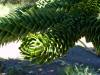 dsc00455-1024