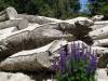 dsc00474-1024