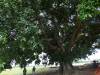 dsc01405