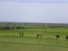 cimg1998-1024