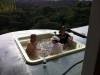 Erholung im Whirlpool