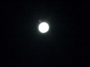 Vollmond im Quiver Tree Forest