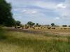 jede Menge "Bife de Lomo" bester Qualität