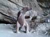 dsc00540-1024