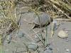 dsc00597-1024