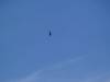dsc00618-1024