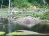 dsc00630-1024
