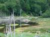 dsc00631-1024
