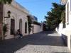 dsc00249_0